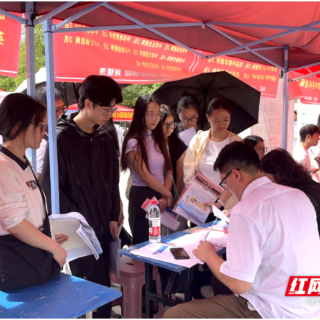 政校企联动·职引未来:珠晖区专场招聘会助2000学子就业
