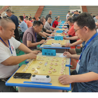 棋聚耒阳 弈动雁城！2026 年衡阳市 “杜甫杯” 象棋锦标赛圆满落幕