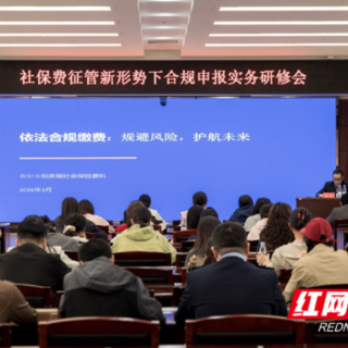 石鼓税务：双向发力推进社保费合规缴纳