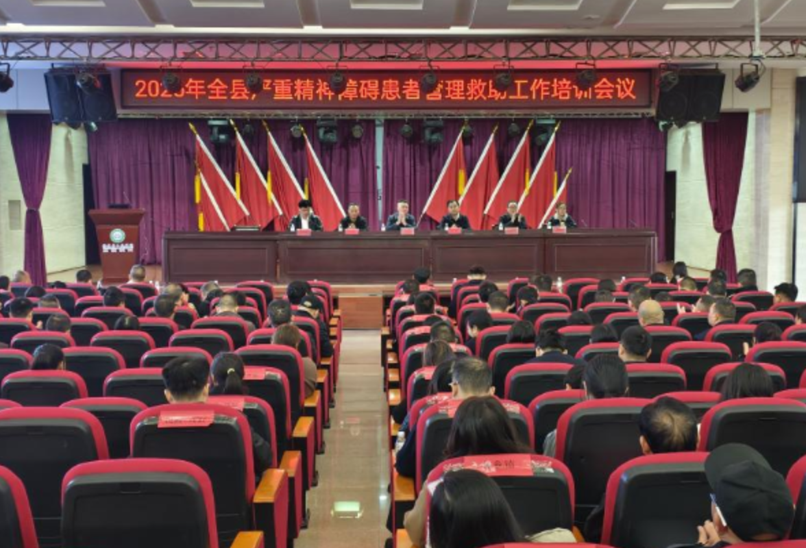 衡东县召开2025年严重精神障碍患者管理救助培训会议