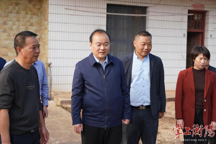 朱健赴常宁巡林、巡田、巡河，实地调研乡村振兴工作