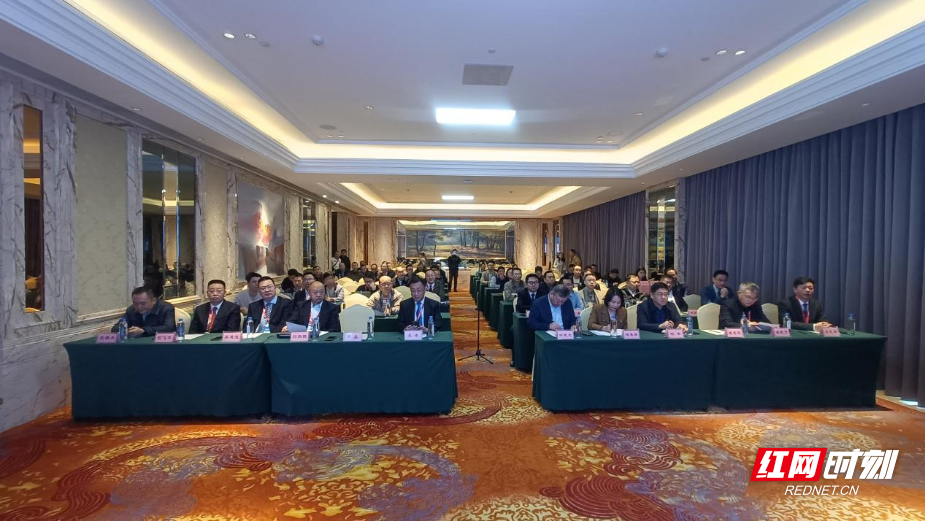 湖南脊柱外科专家齐聚衡阳纵论医疗技术质控