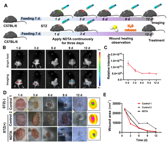 南华医院谢松林教授联合程丹研究员在糖尿病慢性创面诊疗一体化研究领域取得重要进展