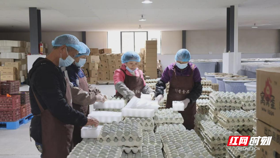 衡阳县:乡贤“归巢” 点蛋成“金”