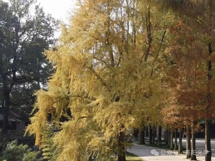 南岳秋浓醉客行