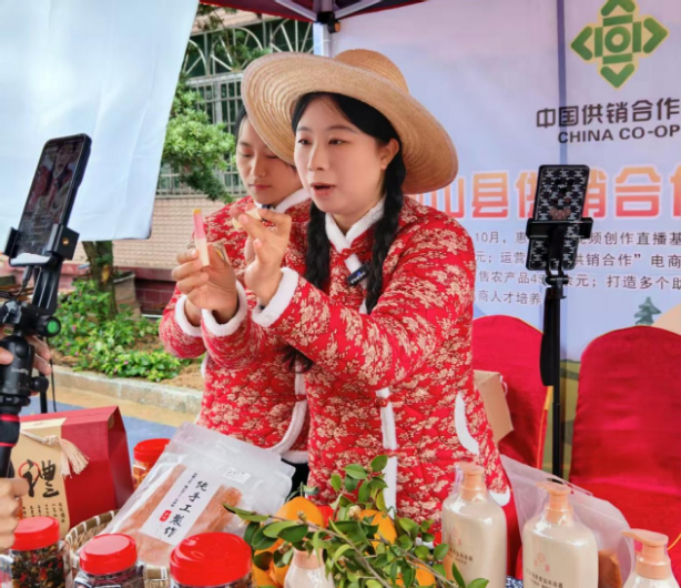 衡山县:就业创业服务进乡村 手把手传授“带货经”