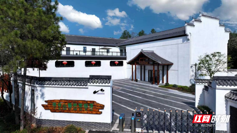 我们的十四五·蒸湘答卷|衡阳蒸湘区:雨母山畔起文澜,艺术部落织就“诗与远方”