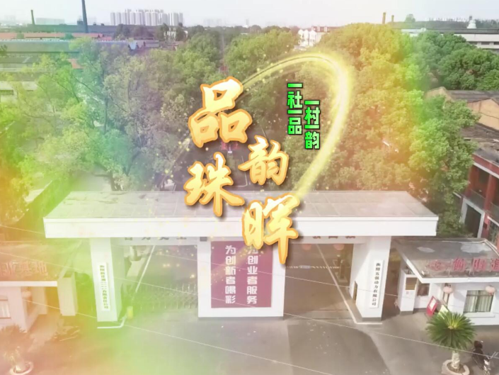 我的家乡“名片”｜《品韵珠晖》走进黄洲村，读懂这片土地的一品一韵