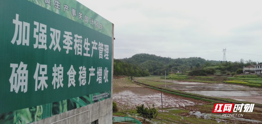 衡南县青叶村：荒山变成花果山，果园经济助农致富增收