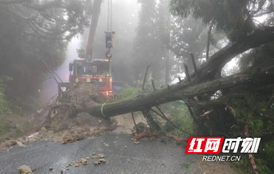 南岳区：紧急应对强降雨险情 全力保障道路安全畅通