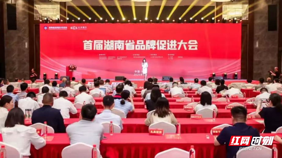 喜报！衡阳市5家企业获得省级品牌奖项