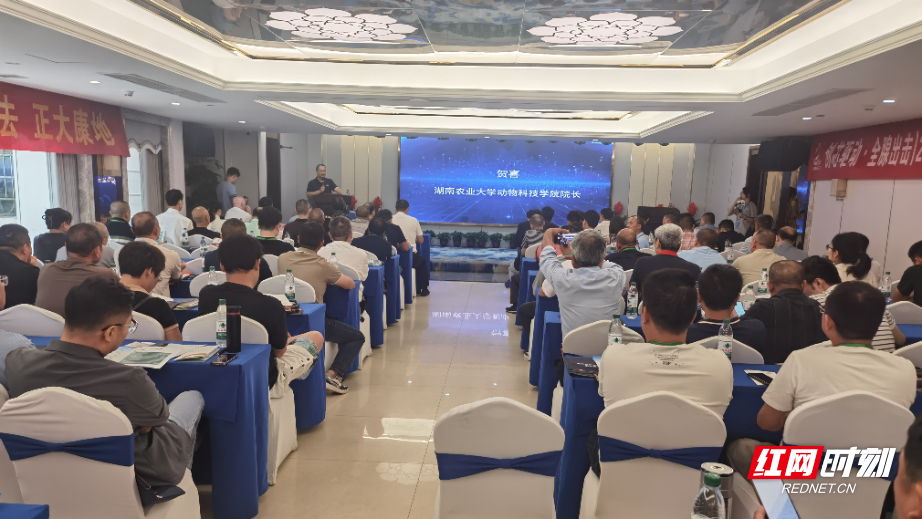 专家学者齐聚衡阳，共探非笼养蛋鸡未来