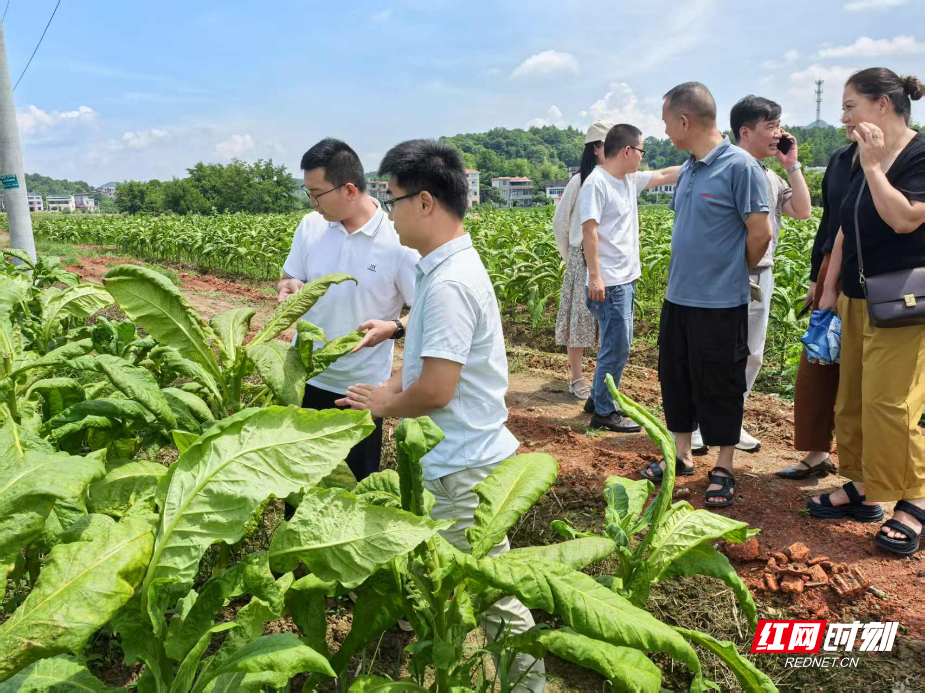 衡阳师范学院教授博士服务团“入企下乡”送“科技”