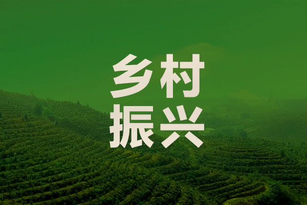民企兴村：产业联农，绘就乡村“共富”新画卷