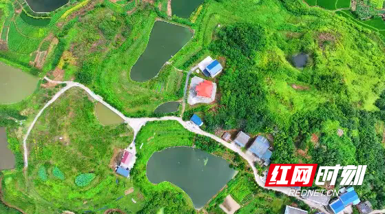 衡阳市石鼓区：35公里农文旅环线，四季鲜果不断档