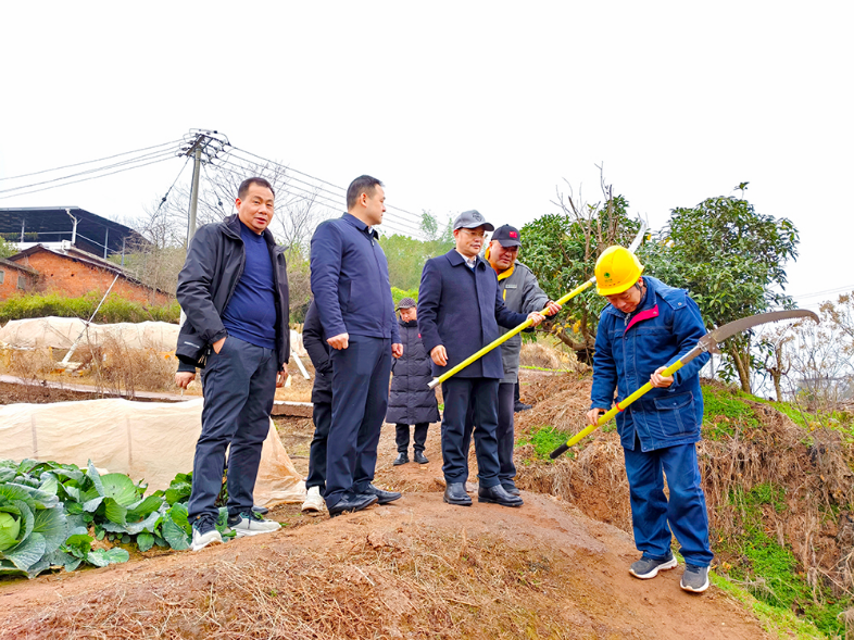 衡阳市发改委开展应对雨雪冰冻天气能源保供工作调研