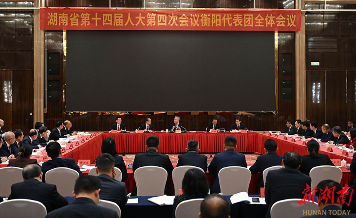 沈晓明参加衡阳市代表团审议