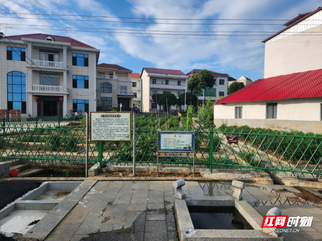 清扫的是道路，凝聚的是民心——衡东县党建引领基层治理的生动答卷