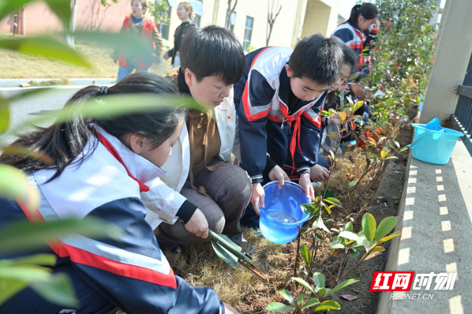 从“挥锹添绿”到“AI护绿”：石鼓区解锁生态育人新范式