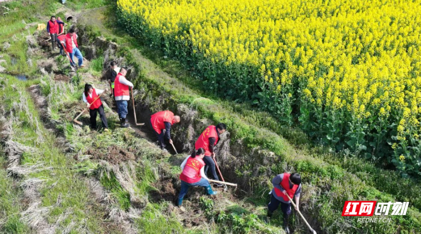 衡山：“渠”心聚力疏农脉 通渠保灌促丰收