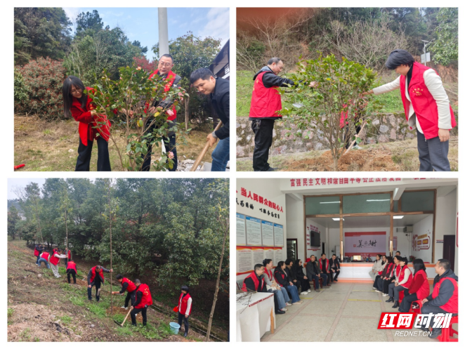 衡东县卫生健康局：“党建红”引领“生态绿” 共绘乡村振兴新画卷