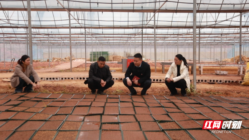衡南：全国人大代表宣讲两会精神 走进育秧一线 聚力乡村振兴