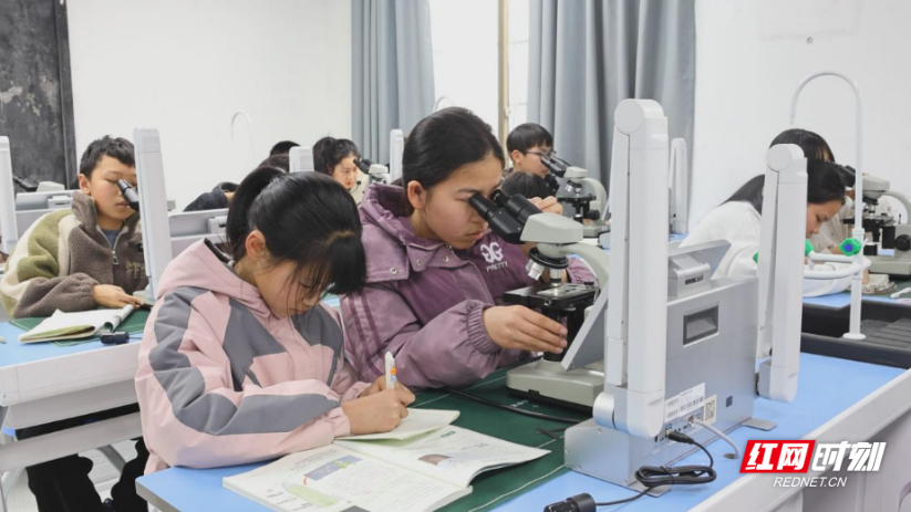 衡阳县：农村娃家门口“玩转”人工智能