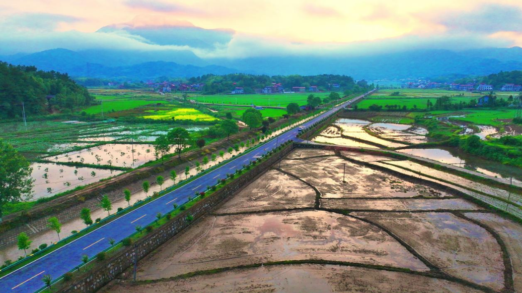 衡山:春意盈村桃花艳 和美乡村入画来
