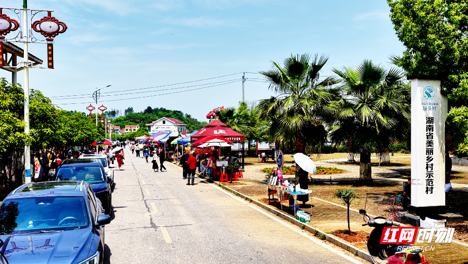 “花样”珠晖｜风有信，花有约，300亩金甲玫瑰花带来法式罗曼蒂克