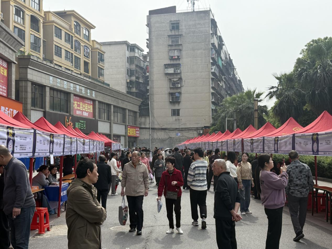 建设副中心 争当排头兵｜青春绽放在石鼓！石鼓区2026年建设年轻人友好城区专场招聘会举行