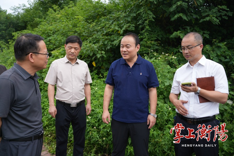 周末生态环境会诊日丨朱健专题调研突出生态环境问题整改