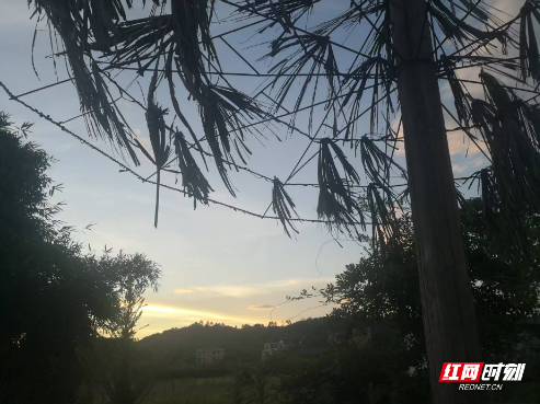 行走衡州⑬丨早禾村
