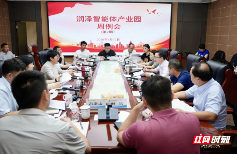 衡阳高新区主持召开润泽智能体产业园周例会