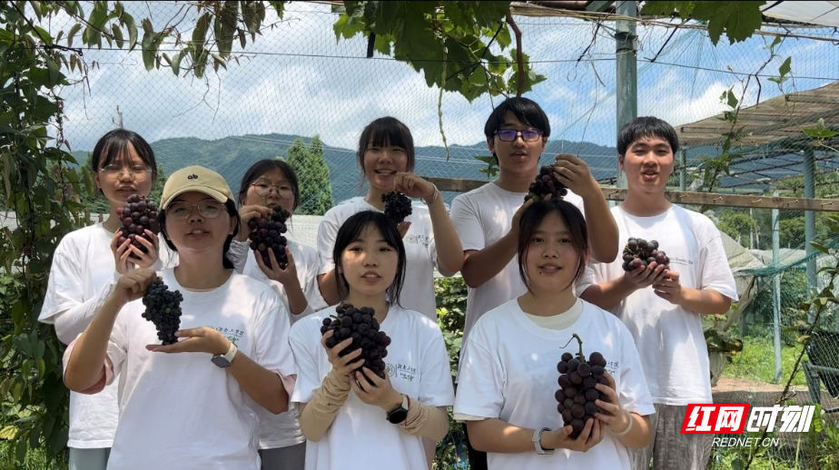湖南工学院学子深入九疑瑶乡 新媒体助农拓销路
