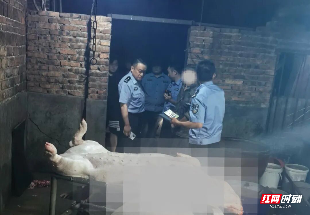 涉案130余万元，3人落网！耒阳公安全链条打击私屠滥宰