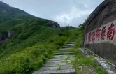 行走衡州⑲|小草