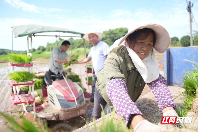 衡阳县:开展高素质农民培育,注入乡村振兴“智动力”