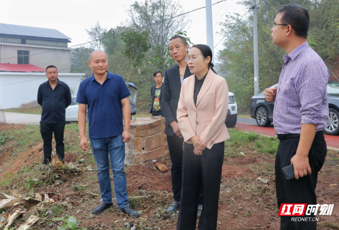 雁峰区领导调研精品村创建工作和红色山林研学综合体项目建设情况