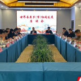 世界长寿乡(市)齐聚南岳 共谋产业发展新路径