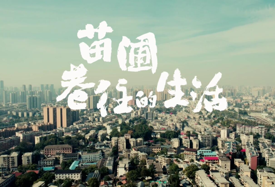 我的家乡“名片”｜《苗圃巷往的生活》，那些人间烟火从不曾被遗忘