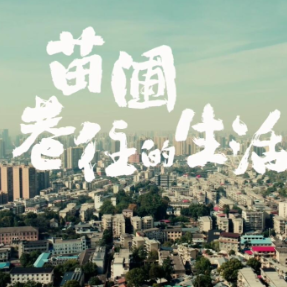 我的家乡“名片”｜《苗圃巷往的生活》，那些人间烟火从不曾被遗忘