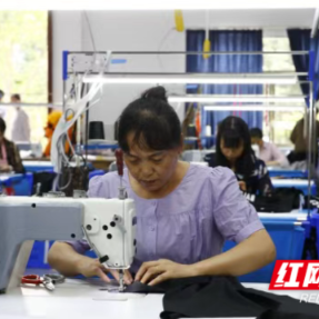 石鼓区:就业帮扶“小车间” ,增收共富“大平台”