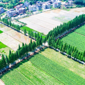 湖南常宁：“渔罗公路”解锁农旅融合的“共富样本”