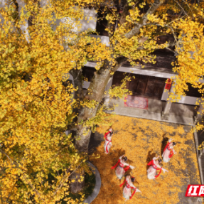 醉美深秋，竞逐云端！2025南岳衡山国际登山赛将于11月23日鸣枪启幕