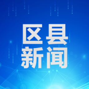 衡南启示录:林权改革赋能油茶“七十二变”