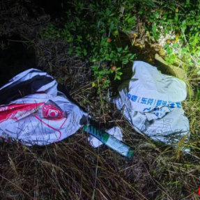 偷茶籽?两人被抓现行