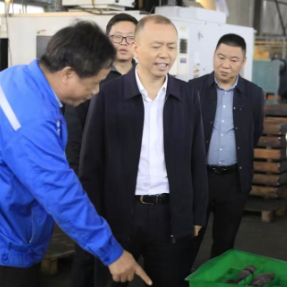 雁峰区委副书记、区长魏春生深入规上工业企业开展“送解优”专项行动