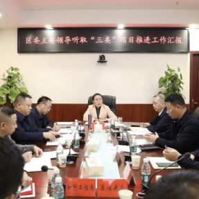 雁峰区委书记王燕专题听取“三类”项目推进工作汇报