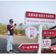 衡阳县天子岭油茶庄园开门迎客 闲置资产变身“致富地”