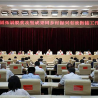 衡阳市巩固拓展脱贫攻坚成果同乡村振兴有效衔接工作推进会召开